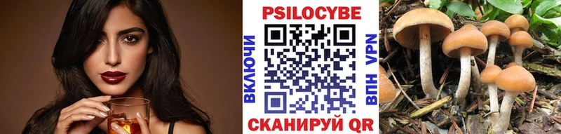 Галлюциногенные грибы Magic Shrooms  hydra   Бакал 